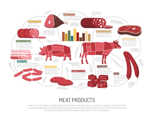 Cartaz liso de Infographic dos produtos do mercado de carne