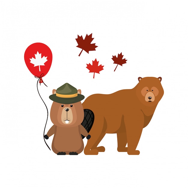 Castor e urso animal do canadá