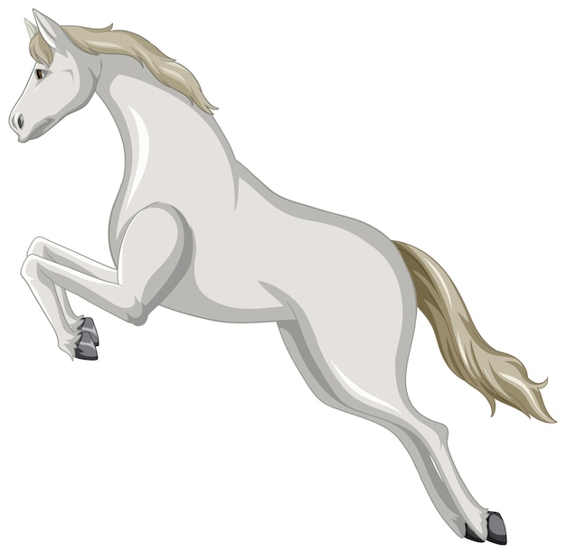 Cavalo branco Png - Baixar Imagens em PNG