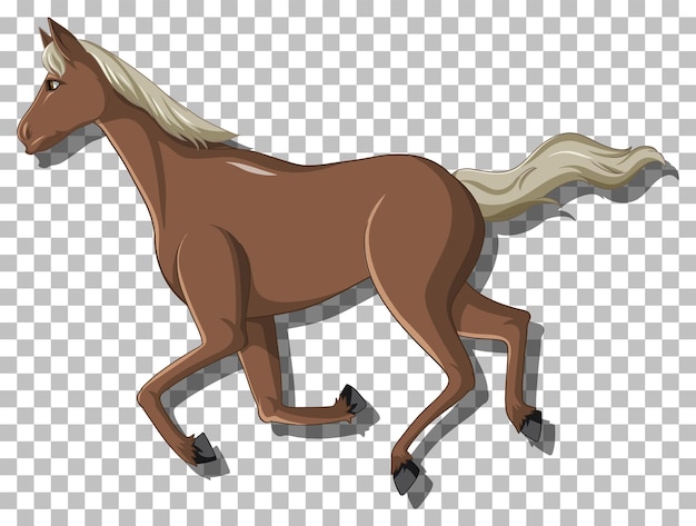 Cavalo claro Png - Baixar Imagens em PNG