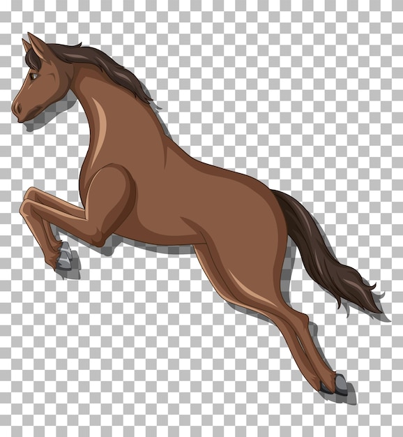 Cavalo PNG, SVG