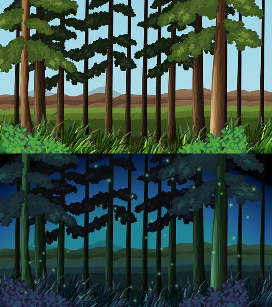Cena da floresta no tempo do dia e da noite