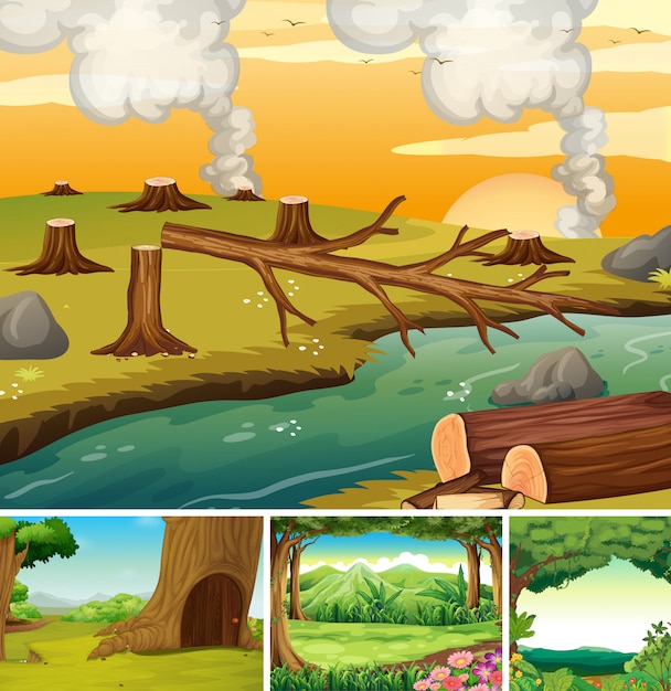 Cena de natureza diferente quatro de estilo cartoon de floresta