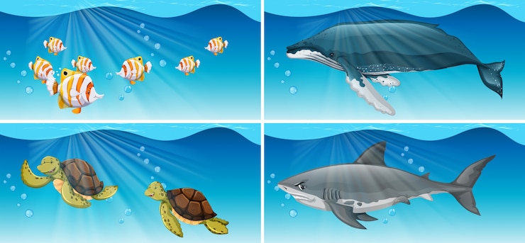 Vetor grátis cenas subaquáticas com animais marinhos