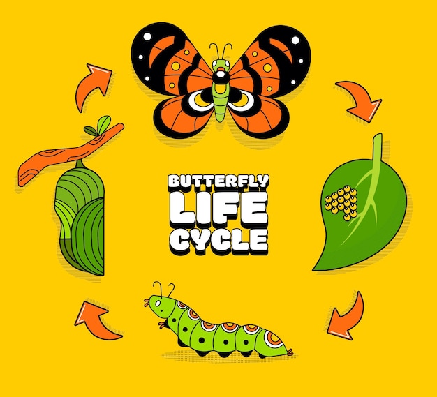 Vetor grátis ciclo de vida de borboletas desenhadas à mão