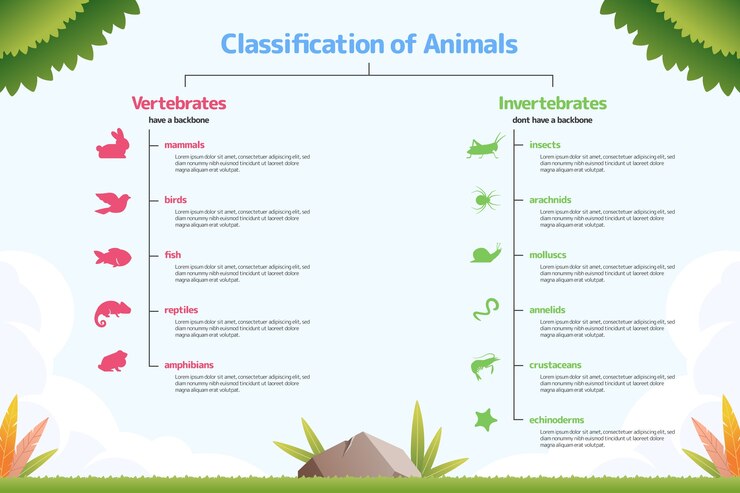 Vetor grátis classificação desenhada à mão de infográfico de animais