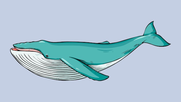 Clipart de desenho de baleia desenhado à mão vintage