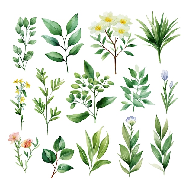 Vetor grátis clipart de ilustração de folhas florais em aquarela desenhadas à mão