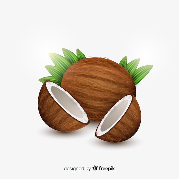 Vetor grátis cocos