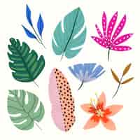 Vetor grátis coleção abstrata de folhas tropicais