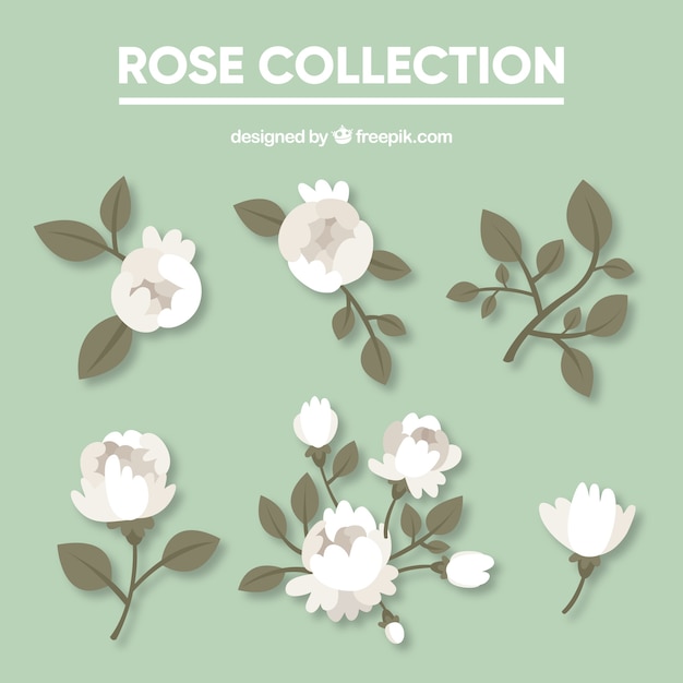Coleção bonito de rosas brancas e cinzentas