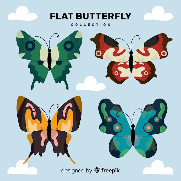 Coleção borboleta plana
