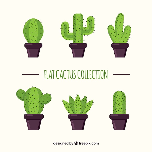 Vetor grátis coleção catus com design plano