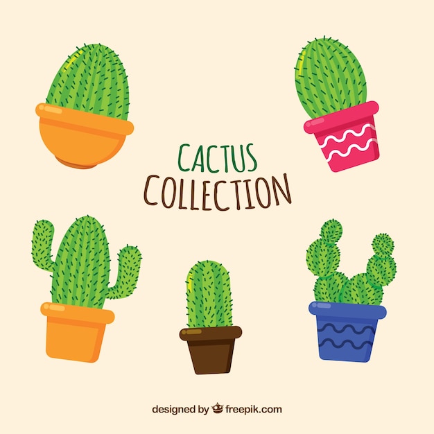 Coleção colorida de cactos