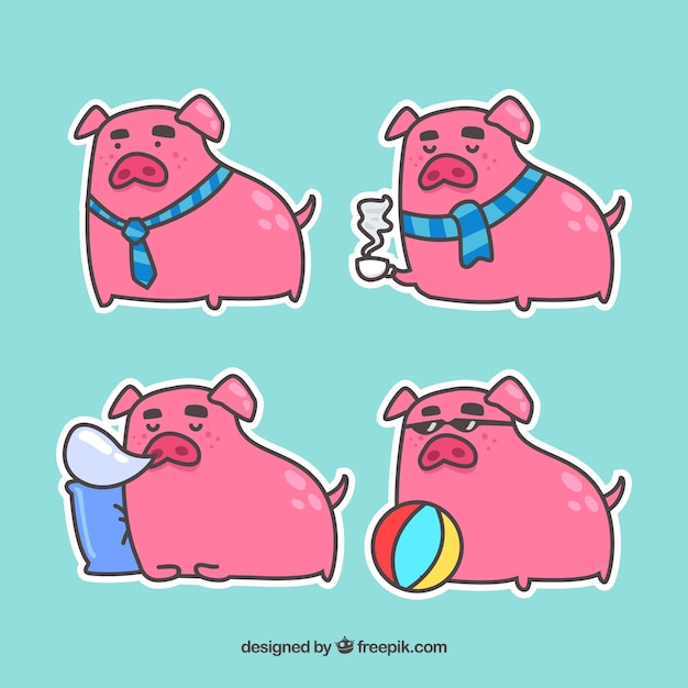 Vetor grátis coleção de adesivos piggy