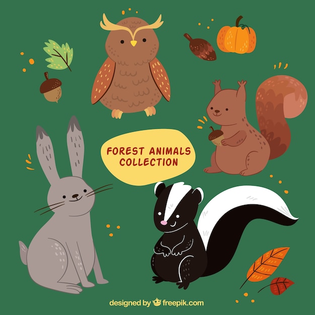 Coleção de animais adoráveis da floresta com elementos do outono