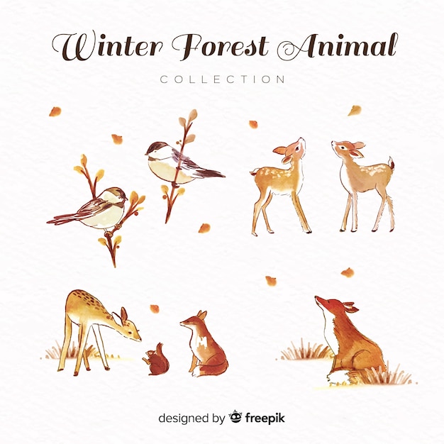 Coleção de animais adorável inverno aquarela