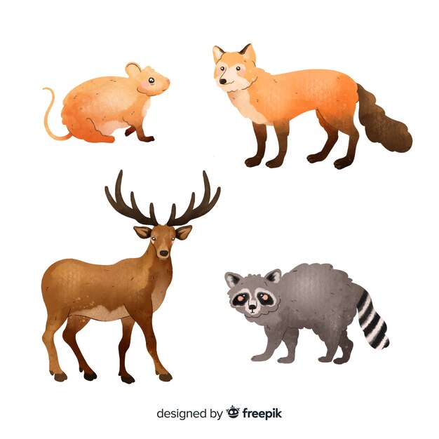 Coleção de animais da floresta em aquarela