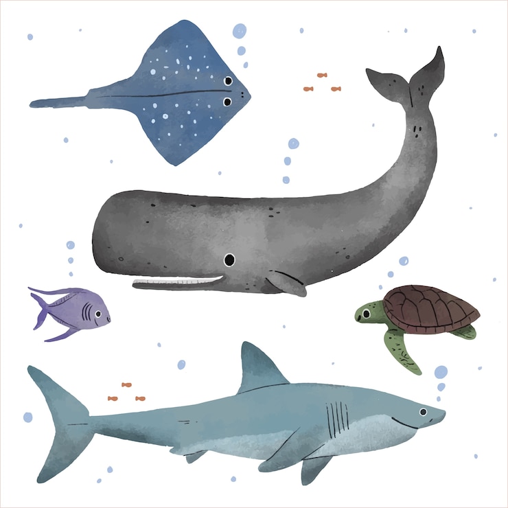 Vetor grátis coleção de animais marinhos desenhada à mão