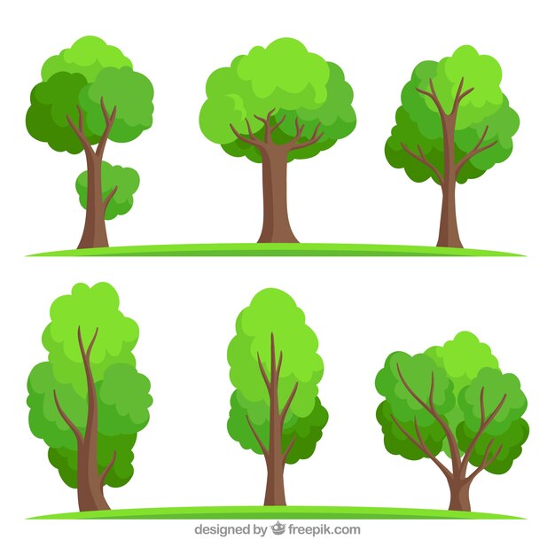 Coleção de árvores em estilo desenhado a mão