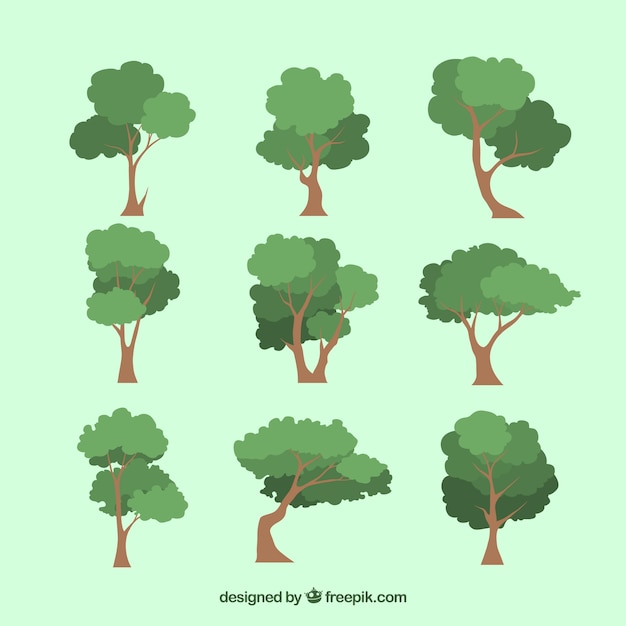 Vetor grátis coleção de árvores no estilo 2d