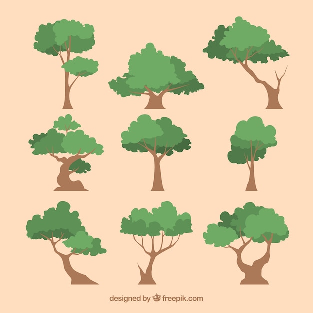 Vetor grátis coleção de árvores no estilo 2d