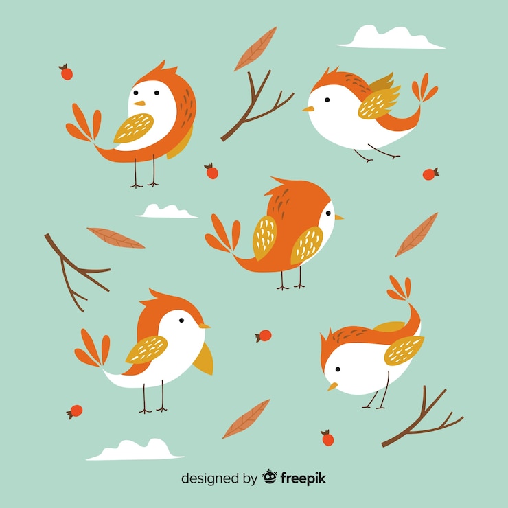 Vetor grátis coleção de aves mão desenhada estilo