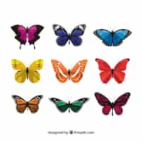 Vetor grátis coleção de borboletas coloridas elegantes
