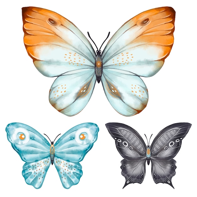 Vetor grátis coleção de borboletas de aquarela