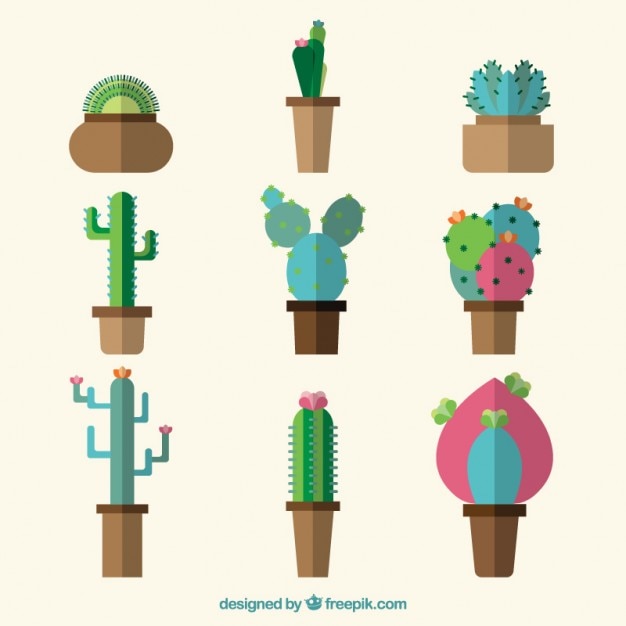 Coleção de cactos em grande estilo design plano