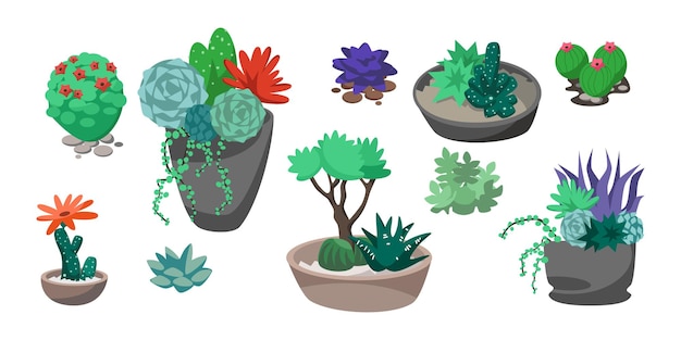 Coleção de cactos tropicais, flores e suculentas com pedras em vasos isolados no fundo branco. conjunto de ilustração vetorial dos desenhos animados da planta da casa. florarium, terrário, conceito de interior botânico