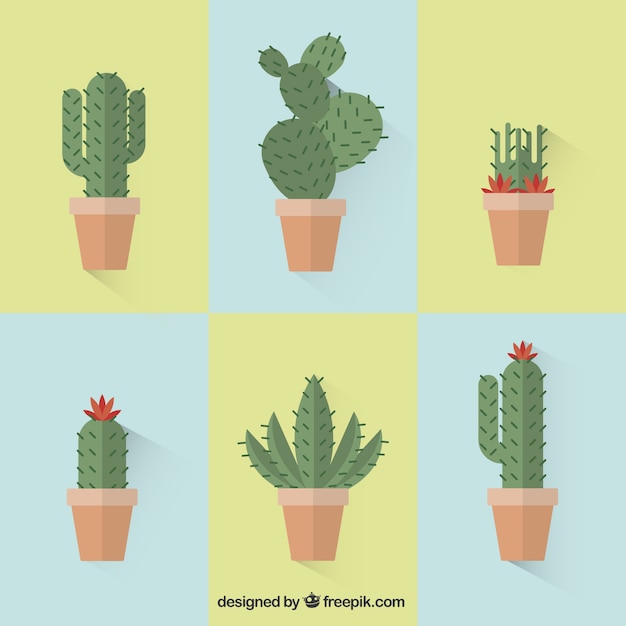 Vetor grátis coleção de cactus