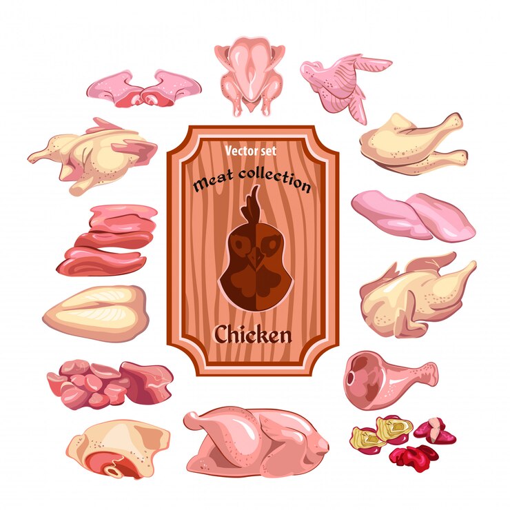 Vetor grátis coleção de carne desenhada à mão colorida
