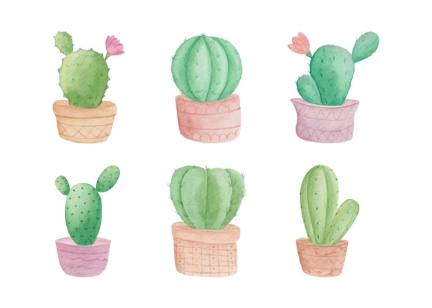 Coleção de conjuntos de cactos em aquarela