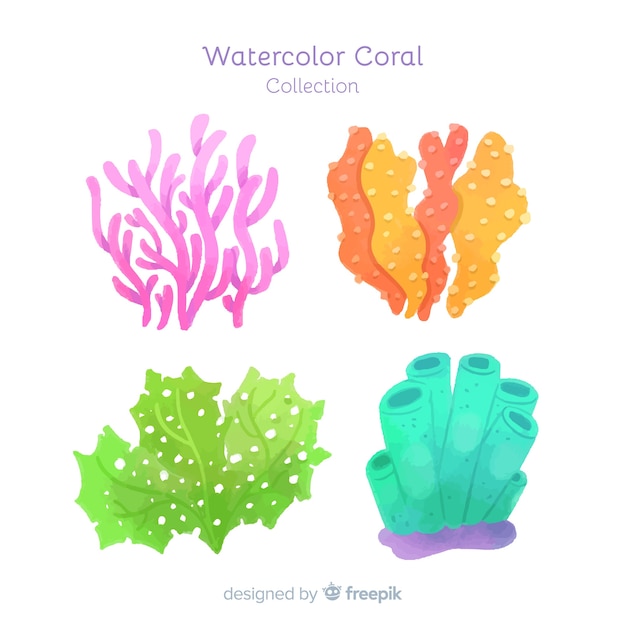 Vetor grátis coleção de coral aquarela