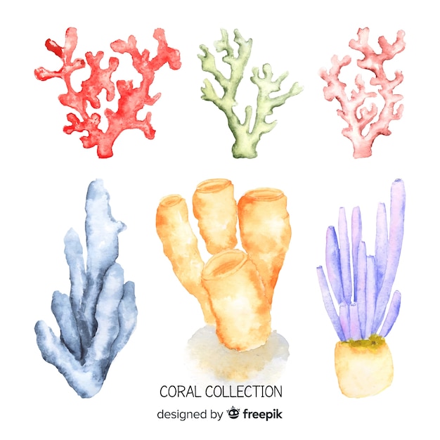 Coleção de coral Aquarela
