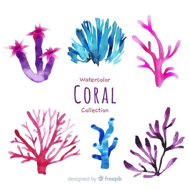 Vetor grátis coleção de coral aquarela