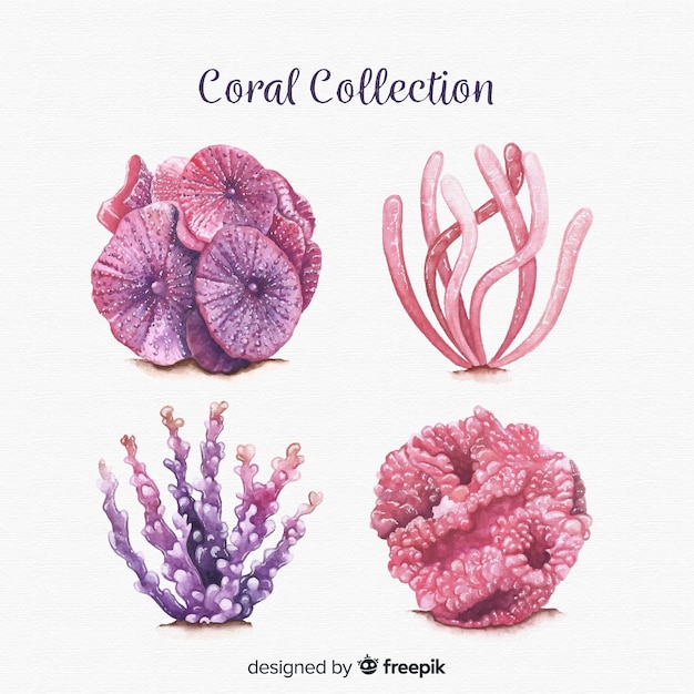 Vetor grátis coleção de coral aquarela