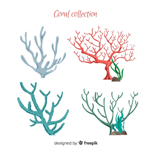 Vetor grátis coleção de coral liso