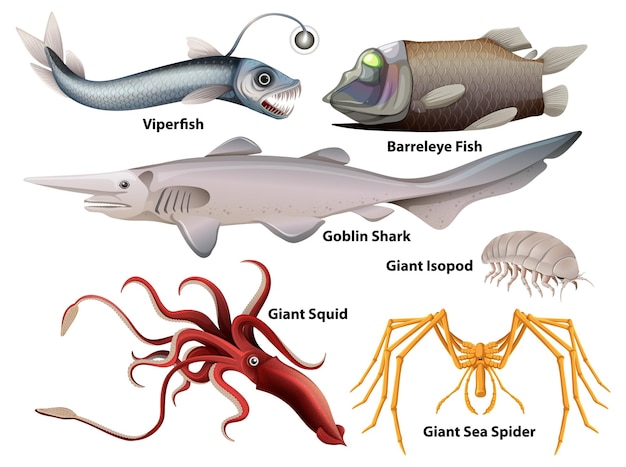 Coleção de criaturas do mar profundo