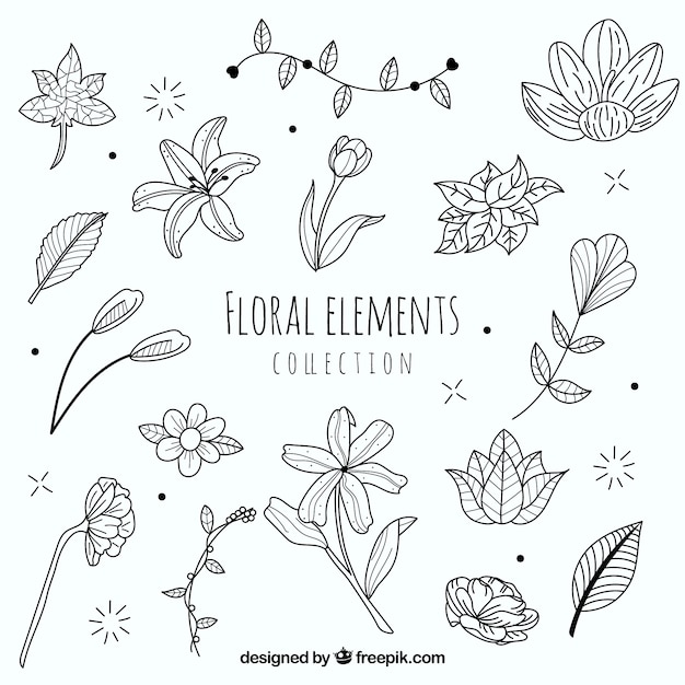 Vetor grátis coleção de elemento floral lindo com estilo mão desenhada