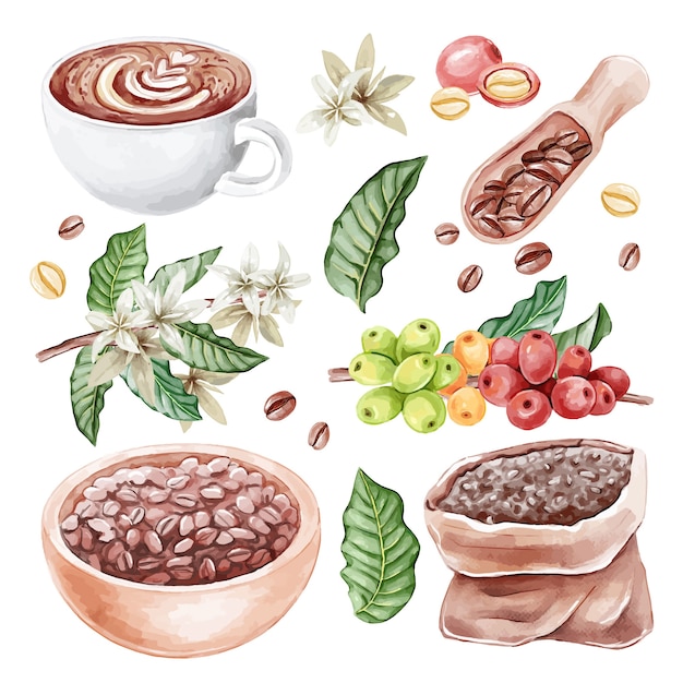 Coleção de elementos em aquarela de plantação de café