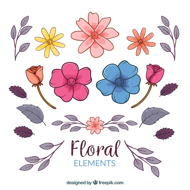 Coleção de elementos florais com espécies diferentes