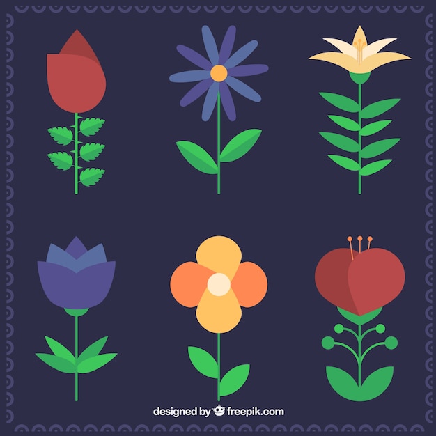 Coleção de elementos florais com espécies diferentes
