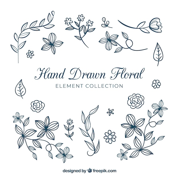 Coleção de elementos florais desenhados a mão