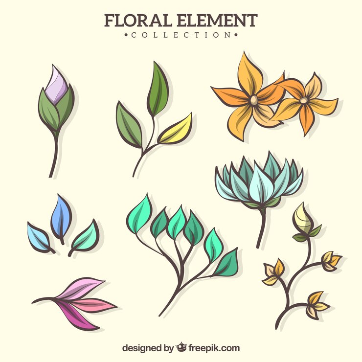 Vetor grátis coleção de elementos florais desenhados a mão