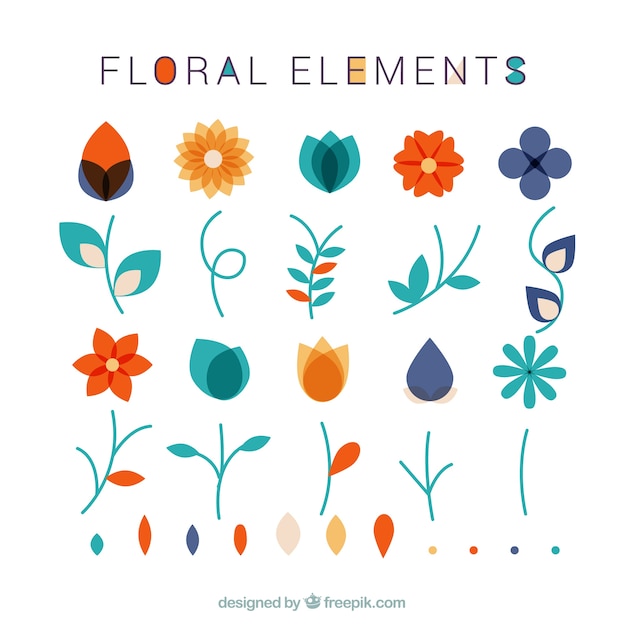 Coleção de elementos florais e folhas