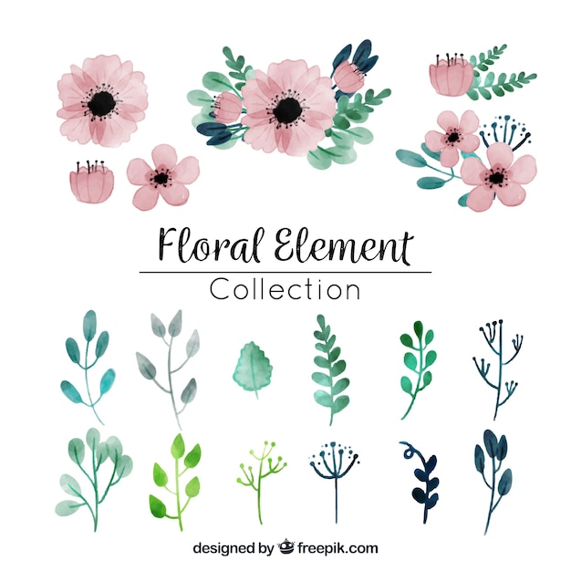 Coleção de elementos florais em aquarela