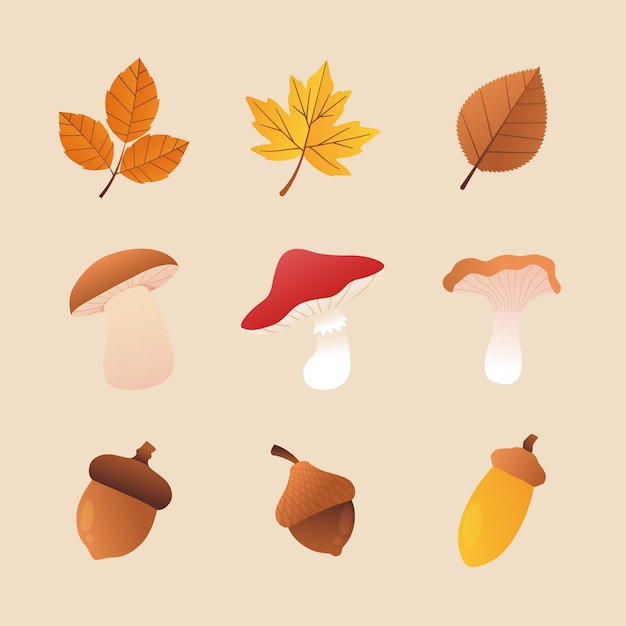 Coleção de elementos gradientes para celebração de outono