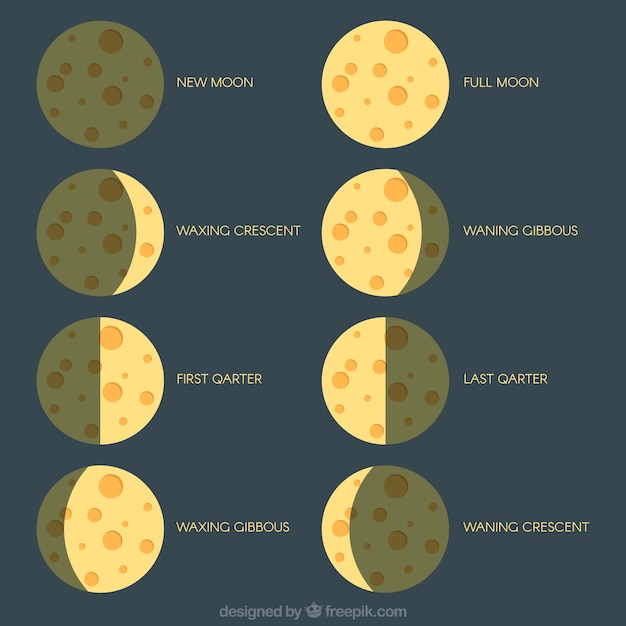 Vetor grátis coleção de fases da lua em design plano